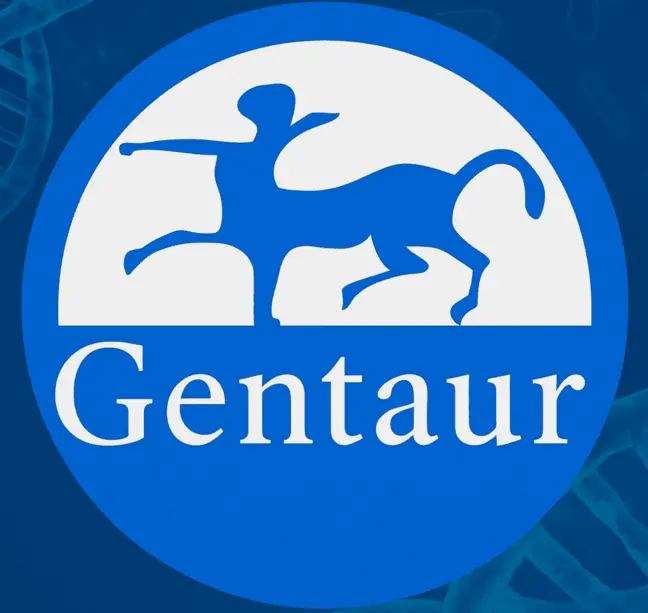 Rabbit Transferrin ELISA Kit 1 Kit (96 Wells) - 1 Kit