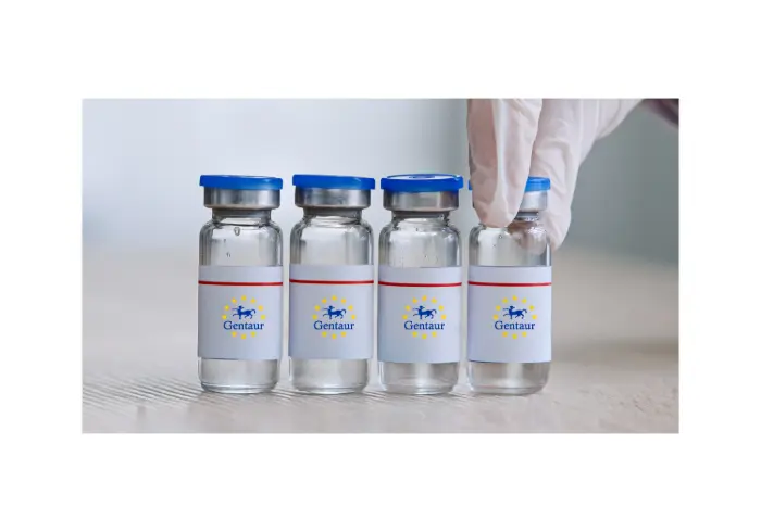 HIV-1 gag p17-p24, gp41-gp120