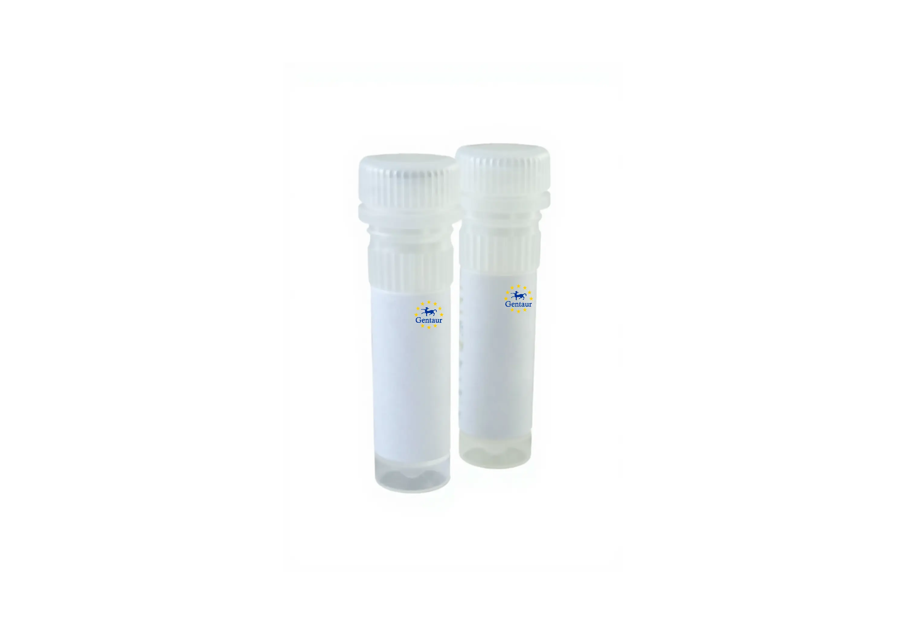  40mm dntp mix ready to use 10mm 20 mol each 2ml