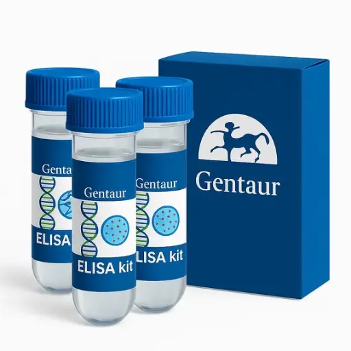 [IB49689] TGF- Beta1 (Mouse) ELISA - 96 Determinations