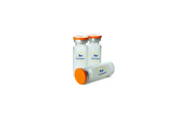 [GEN - PTN884-5ug] ARL11 Human